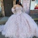 Sweetheart Pink Quinceanera Dresses Tulle Beading Feather Long Sleeve Party Dresses Appliques Lace Up Prom Gown