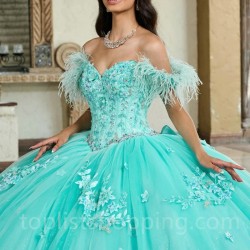 Sweetheart Quinceanera Dresses Applique Lace Beads Feather Ball Gown Sweet 16 Year Princess Dress For 15 Years vestidos de