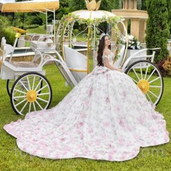 Sweetheart Shiny Quinceanera Dresses Beads 3D Flowers Graduation Dress Sweet 16 Gown Vestidos De 15 Años