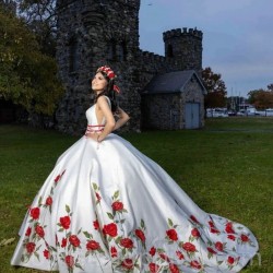 V Neck White Quinceanera Dresses 2024 With Red Flower Embroidery Ball Gown Princess Vestidos De Party Dresses