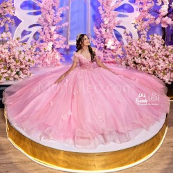 Off Shoulder Pink 15 Dresses Sweetheart Neck Quince Dress With Butterfly