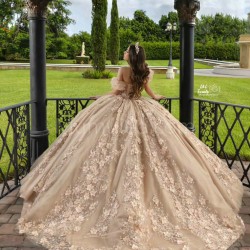 Sleeveless Champagne Quinceanera Dress Sweetheart Neck Sweet 15 Gowns With 3D Flowers