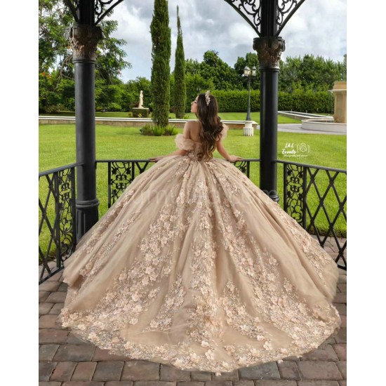 Sleeveless Champagne Quinceanera Dress Sweetheart Neck Sweet 15 Gowns With 3D Flowers