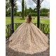 Sleeveless Champagne Quinceanera Dress Sweetheart Neck Sweet 15 Gowns With 3D Flowers