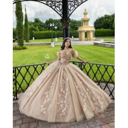 Sleeveless Champagne Quinceanera Dress Sweetheart Neck Sweet 15 Gowns With 3D Flowers