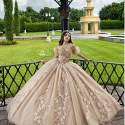 Sleeveless Champagne Quinceanera Dress Sweetheart Neck Sweet 15 Gowns With 3D Flowers