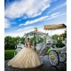 Sleeveless Champagne Sweet 15 Gowns Sweetheart Neck Lace Appliques Quinceanera Dress