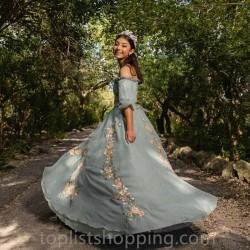 Light Green Sexy Strapless Ball Gown Quinceanera Dresses 15 Years Sexy Off-Shoulder Applique Tulle Formal Princess