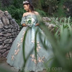 Light Green Sexy Strapless Ball Gown Quinceanera Dresses 15 Years Sexy Off-Shoulder Applique Tulle Formal Princess